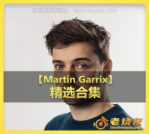 【Martin Garrix】wav版